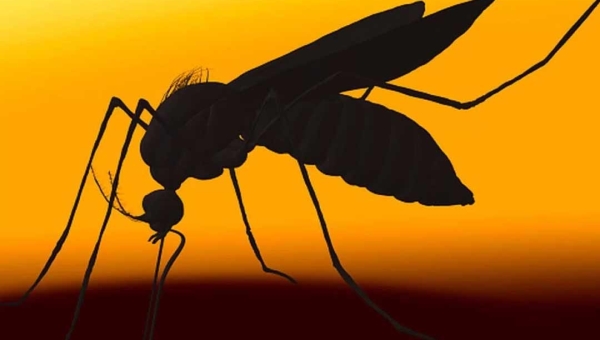 Com quase 3 mil casos prováveis de Dengue, MS anuncia força-tarefa e monitoramento no Acre